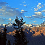 Behold the beauty !!