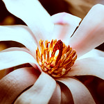 &ldquo;Truth is like the sun. You can shut it out for a time, but it ain't going away&rdquo; ― Elvis Presley