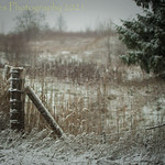 Leaning (HFF) (Christmas Eve)