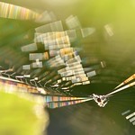 Arachtober 09 (2021)