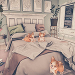 ℓ&sigma;ѵ&epsilon;ℓყ ɱ&sigma;ɱ&epsilon;ɳƭร &alpha;ƭ ɦ&sigma;ɱ&epsilon;