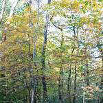 An early morning autumn hike