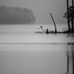 Anticipatory anxiety