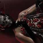 &diams; Moment #431 ...&diams;