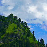 Allg&auml;u (Germany)