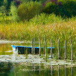 Palette de couleurs automnales sur le lac.