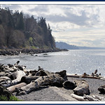 along the shores of Puget Sound...
