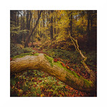 Meanwhile, Back at Base...