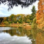 Bodenham Arboretum