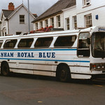 WELLINGTON 000000 145NYC BUY379W_filtered