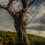 Stay a little longer😉