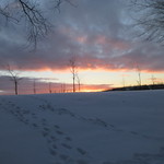 A long walk, in Winter,..