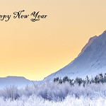 Gle&eth;ileg j&oacute;l og fars&aelig;llt n&yacute;tt &aacute;r