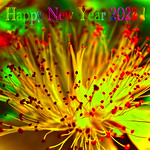 HAPPY NEW YEAR 2022