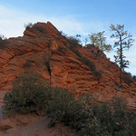 Angels Landing - Zion National Park