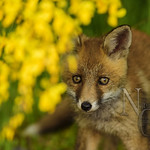 Una peque&ntilde;a victoria