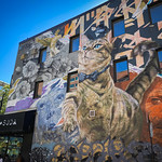 Street Cat by Dodo & Ankh