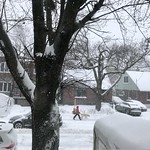 Premi&egrave;re temp&ecirc;te hivernale : Activit&eacute;s du jour...