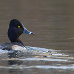 You lookin&rsquo; at me?