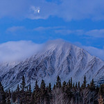 Arri&egrave;re cour / Backyard du Mount Logan Lodge