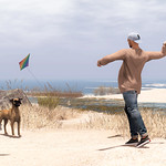 Time for peace, peace is beautiful