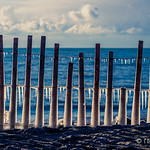 Frozen fence on Woodbine Beach