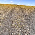 IMGP3242 Over the hill in springtime