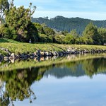Sunday morning in the Park