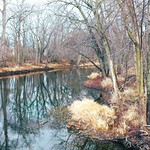 Waiting for the Greening