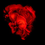 Vermell passi&oacute;.