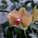 Three days before the war&hellip;