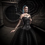 The Bad Kitten - Otherworld