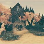 The Chapel @ Infinity Weddings