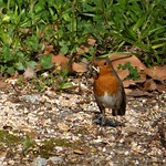 The early bird catches the worm :)