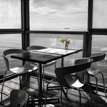 Daff with a Sea view