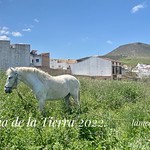 D&iacute;a de la Tierra 2022.