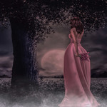 Wayfaring Stranger ....