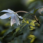 Left behind but not forgotten...