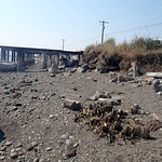 Ediz Hook Restoration Phase IV