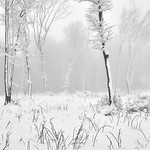 Italy, after the snowstorm