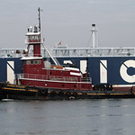 PATRICE McALLISTER, in New York, USA. December, 2021