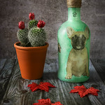 The Cactus & The Bottle Still Life.