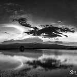 sombras nada m&aacute;s. only shadows