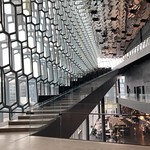 Harpa