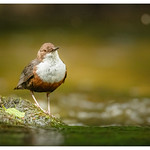 untitled (1 of 7)-Edit-Edit.jpg