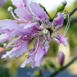 - Autumn in Rio has...