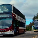 Lothian Buses 1019, LXZ 5404, on service 4