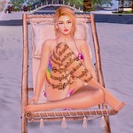 New Look Same Additude