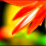 the heat is on..........