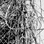 Meander, parc de la fabrique.